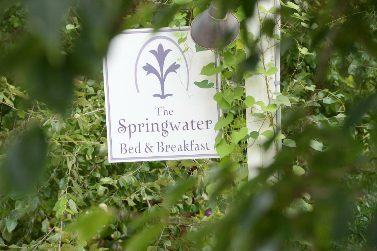 The Springwater Bed And Breakfast Saratoga Springs Zewnętrze zdjęcie