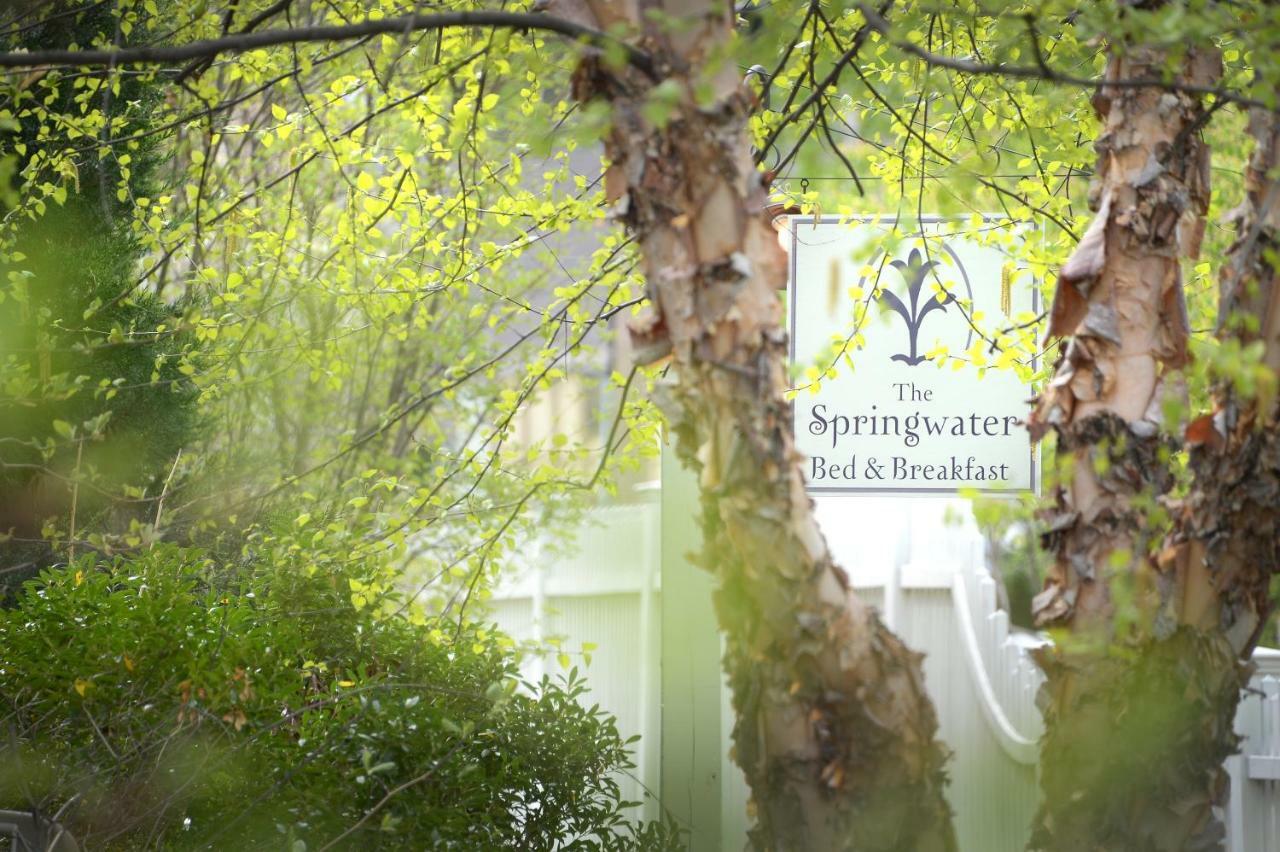 The Springwater Bed And Breakfast Saratoga Springs Zewnętrze zdjęcie